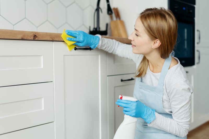Kitchen Cleaning Service in Puyallup, WA